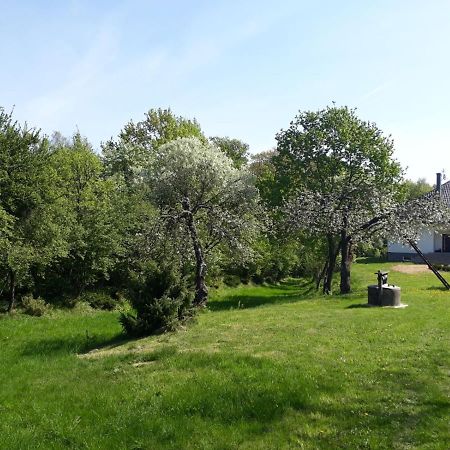 Happiness Country Retreat Villa Bubel Buitenkant foto